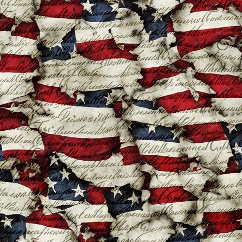 US Grunge Constitution Flag