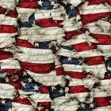 US-Grunge-Constitution-Flag