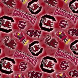 USC-GameCocks-22