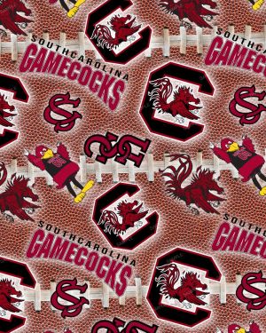 USC GameCocks 24