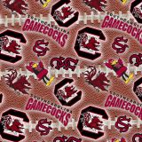 USC-GameCocks-24