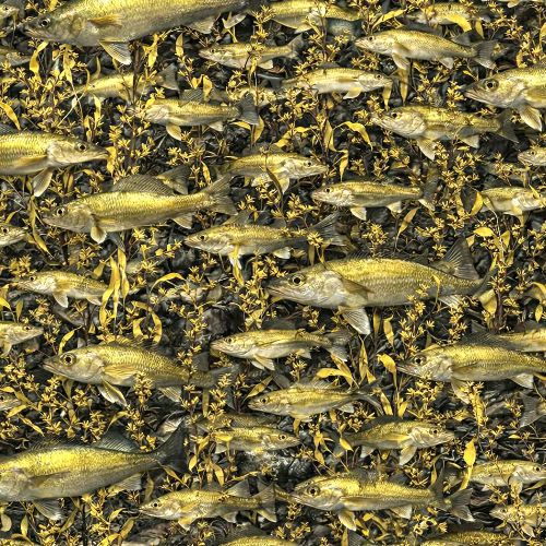 Walleye Fish Camouflage 43