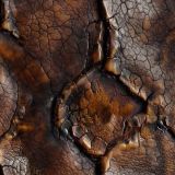 Weathered-Reptile-Leather