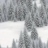 Winter-Wonderland