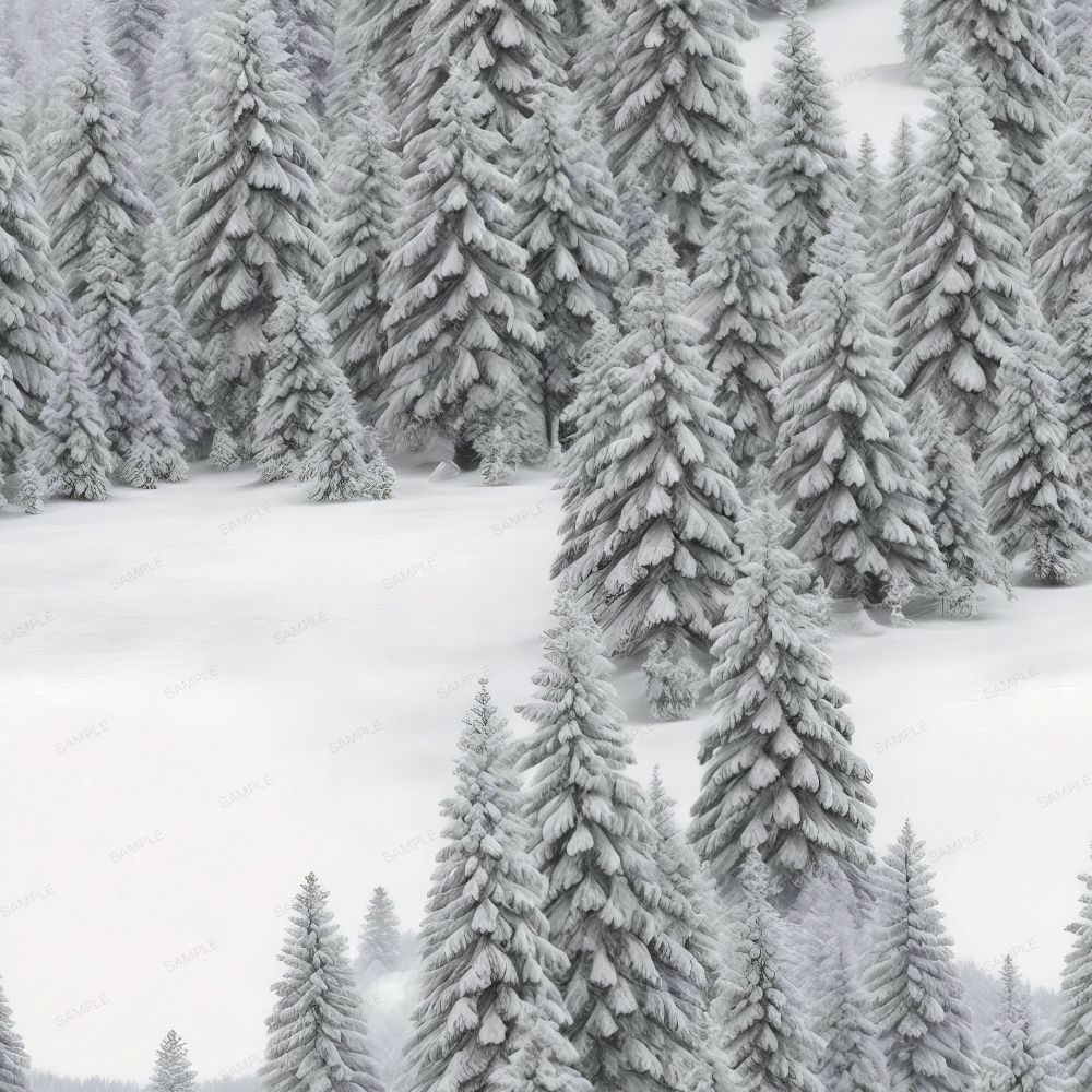 Winter Wonderland