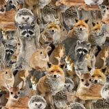 Woodland-Babies-22