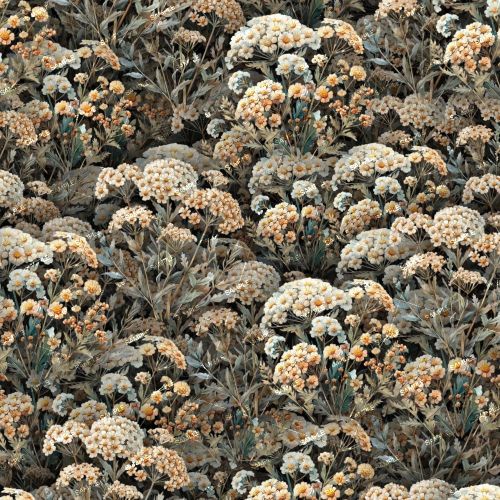 Yarrow 42
