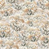 Yarrow-43